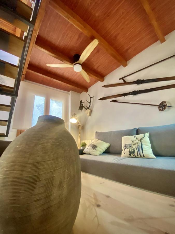 Cal Domenec Rialp - Duplex Con Encanto - Se Admiten Mascotas 외부 사진